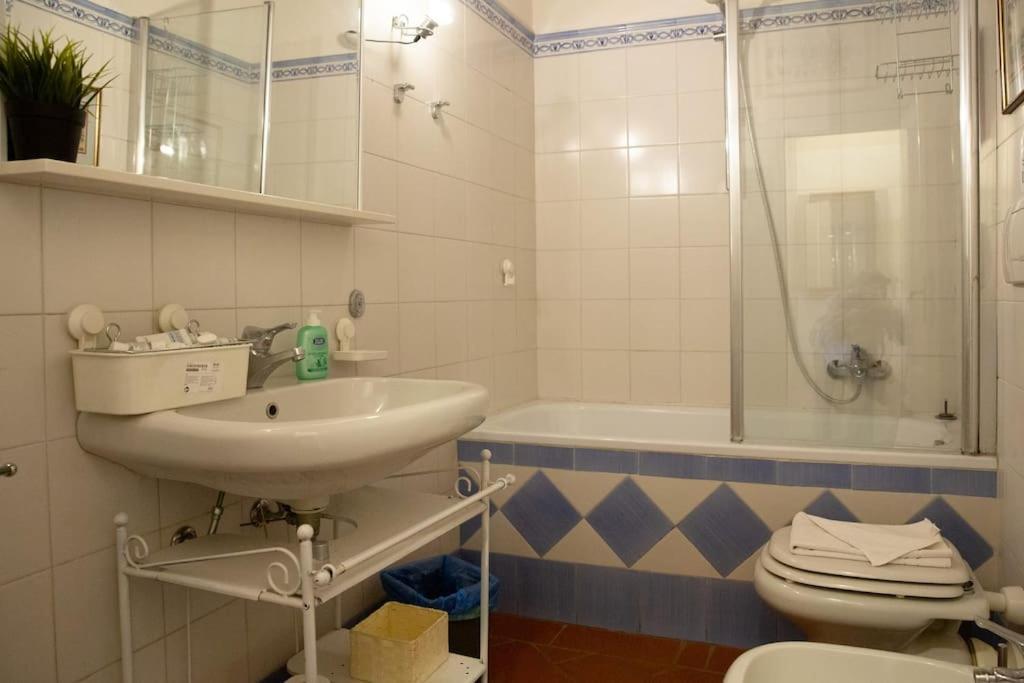 Apartamento Charming By Piazza Santo Spirito